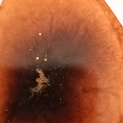 Boucles d'oreilles résine dorée pailletée gouttes fait main