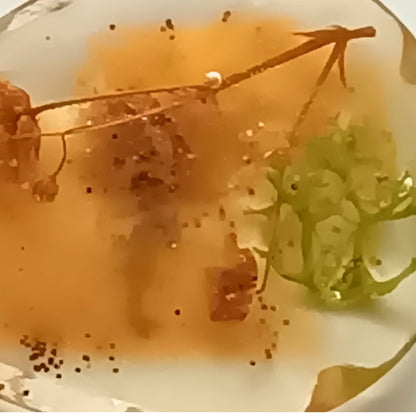 Collier pendentif résine fleurs séchées mousse - Nature transparent bronze doré - Bijou artisanal unique fait main