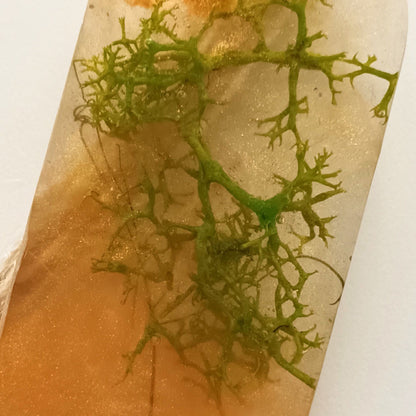 Marque-page résine végétaux séchés mousse fleurs - Rectangle transparent nature - Accessoire artisanal unique fait main